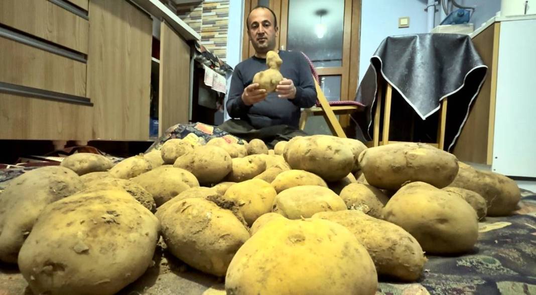 Patates diye aldı, içinden 'ördek' çıktı! Eve gelince fark etti, sonra bu sözü verdi 10